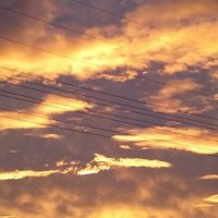 Stormtracker_WV (@stormtracker_wv) 's Twitter Profile
