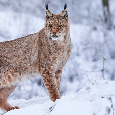 Janne7262154911's profile picture. 