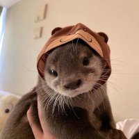 OttyCTO (@ottyonsolcto) Twitter profile photo