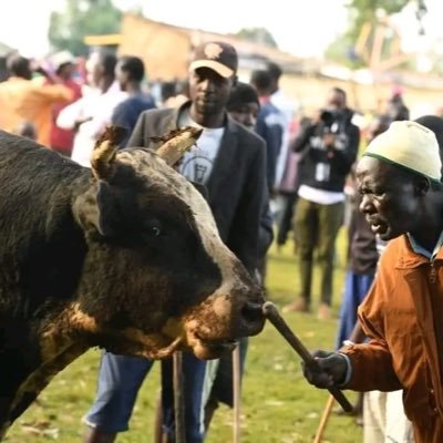 JJ_Mugalla's profile picture. Polymath. (Political Science, Business, MERN Stack Dev) 
We can better our societies by innovation, humanism & knowledge.