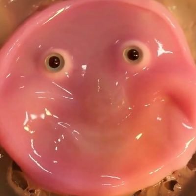 bayesedgod's profile picture. t