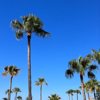 vaaromero's profile picture. 💜