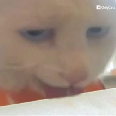 evdtey's profile picture. 