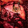 200StabWounds's profile picture. ‘MANUAL MANIC PROCEDURES’ out now on Metal Blade Records. Booking: Nick.Storch@artistgrp.com MGMT: james@southernstateartistmgmt.com