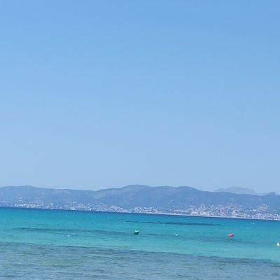 toastersnese's profile picture. 20