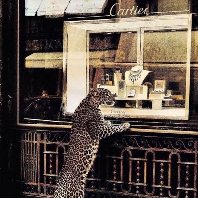 iisl1_'s profile picture. @Abdulmajeed6531 ❤️