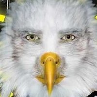 Odio i Nəgri, PhD (@odioinergi3) 's Twitter Profile