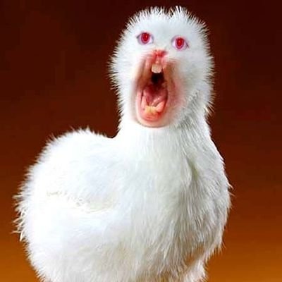 The_Dude489's profile picture. ‏‏‏‏‏אני? אני רק מלווה אותו לדלת....