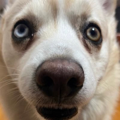 3amxbt's profile picture. Retirement Arc | I don’t know what I’m doing here | Parody Account | Govt Psyop | 3am