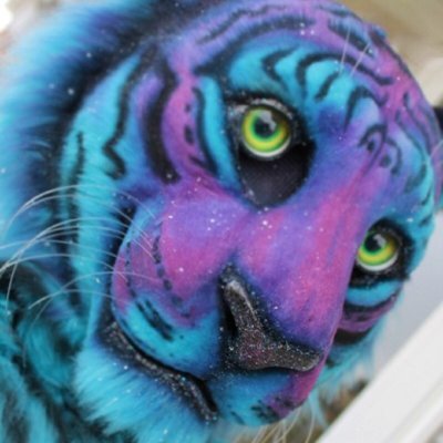 InRailfan's profile picture. I’m a nerd on a lot of things. Travelways (roads), safety &traffic control. Also a developer/designer @Roblox