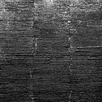 ahalohaaa's profile picture. 🐶