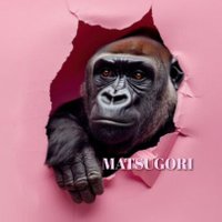 MATSUGORI (@matsu_gori1102) Twitter profile photo