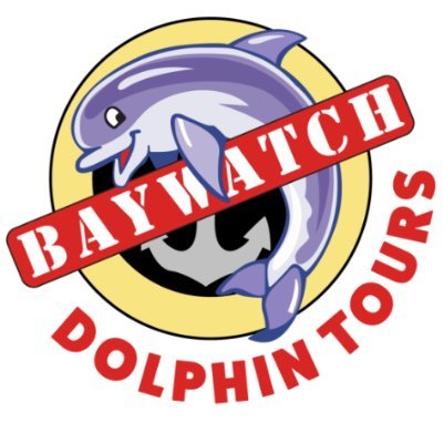 BaywatchToursD's profile picture. 45 minute dolphin tour

Find dolphins in the wild, learn some cool facts about dolphins, and discover the unique ships and buildings along the harbor