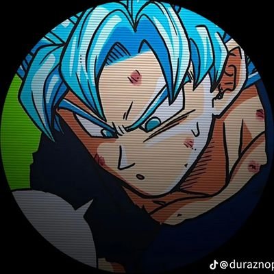 Hablo mucho de los gokus /
SFDK /
Sparking Zero /
exWR player /
exSmash player /
Ippo fan