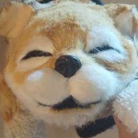 ネコヤマさん※執筆・出版・賞への応募 (@nekoyamaryuu) 's Twitter Profile Photo ネコヤマさん※執筆・出版・賞への応募 (@nekoyamaryuu) 's Twitter Profile Photo