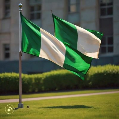 Pan-Africanist | SDG Advocate | Global Health Enthusiast| Member @heelite_intl | Alumnus @OAU @MSFC | Medical Doctor |iDetestNepotism