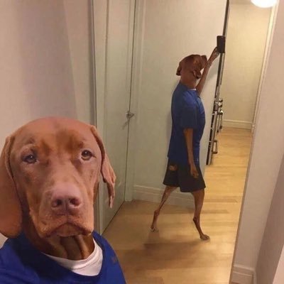 webfeatures_'s profile picture. 