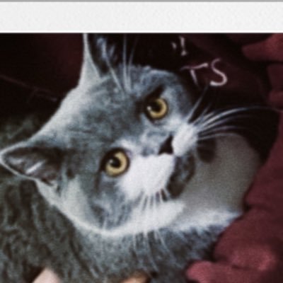 miu98661648's profile picture. FX勉強中、ちゅぱ族見習い。 スキャルピングメイン。シンママ。