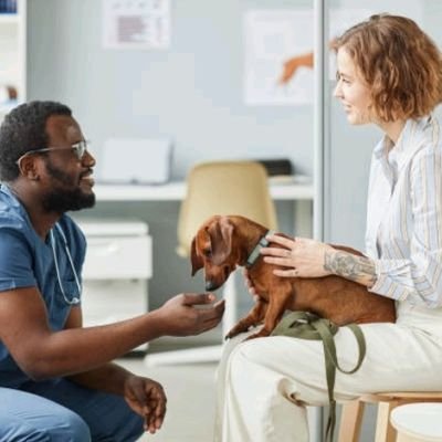 votre chaîne vétérinaire sans frontière du pole nord au pole sud découvrez tout sur l'alimentation et les soins ainsi que le dressage des animaux et twitter#Sen