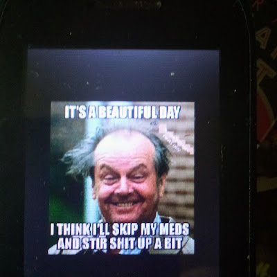 DHasty52465's profile picture. H