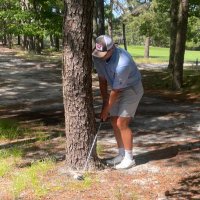 Caleb Handley (@chandley21) 's Twitter Profile