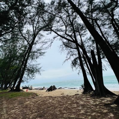 OnlyChata's profile picture. เดินทางดีๆนะ