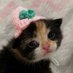em (@just3mmie) Twitter profile photo em (@just3mmie) Twitter profile photo