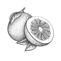 Busy Pomelo Arts (@busypomeloarts) 's Twitter Profile