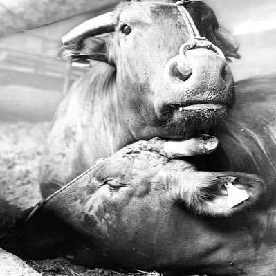 ussisi1129's profile picture. 