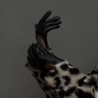 الهاجريُ (@__ieau) 's Twitter Profile