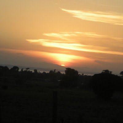 EmamaSAY's profile picture. 