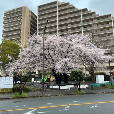 副業を紹介しています! 気になる方は是非下記のメールアドレスに件名と本文を入れて返信してください!→torihikiyou10141998@gmail.com