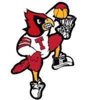 Taylor Co Boys Basketball (@cardinalbballtc) 's Twitter Profile