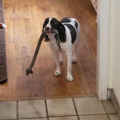 brandonrdurham's profile picture. 