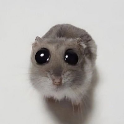 jordankaynessa's profile picture. 