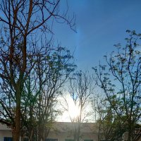 Naoures ☪️🇹🇳 (@naourestn) Twitter profile photo