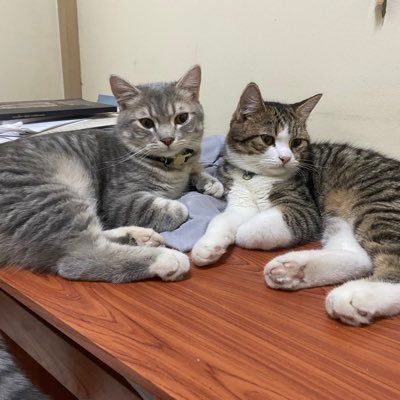 nop555666's profile picture. ความอดทนคือแรงผลักดัน