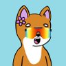 Skidmarcus1's profile picture. You live a sweet little NERF-y life. Sittin' on your biscuit. Never havin' to risk it. Retarded Degen