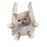 整形ぬこ (@h66glia) Twitter profile photo