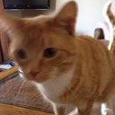 Tim Milligan - @timmygrain - Twitter