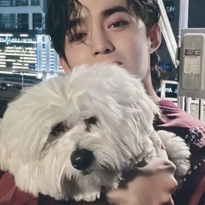 ⨠multifandom ⨠kpts | wichapas | worakamol | exo | seventeen š©µš©·| sb19 | feedback #rhei_tings |
