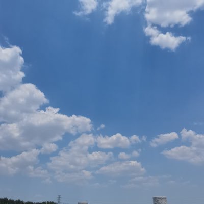 lnlmn969137's profile picture. 