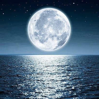 hongsangch28736's profile picture. 