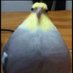 ffghh (@gcruare8899) Twitter profile photo ffghh (@gcruare8899) Twitter profile photo