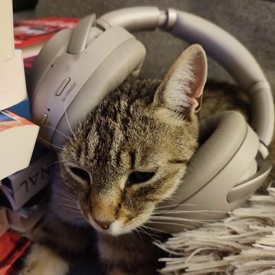 @csrebeka97 férje, 😺😺😺😺🐶, ex-szállodás, IT ☁️, your No.1 source of #vörösgeci kontent