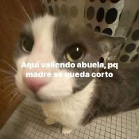 Esta es la url ? (@richarjaramil12) 's Twitter Profile