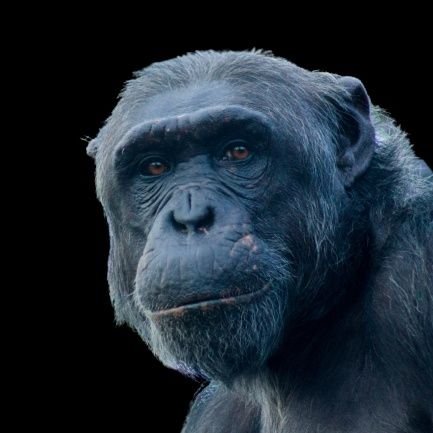 AitorMaria's profile picture. A veces hago cosas, solo a veces - Sometimes I do things, only sometimes
For NFT Creations  https://t.co/7t2nyfIob9
https://t.co/0wJnMwJYvQ