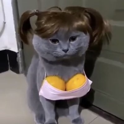 nnamneungii's profile picture. 