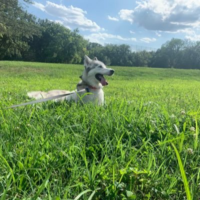 wing22_x's profile picture. MI 🧤| KC 🤠