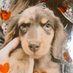 凛&凛太郎੯ꔷ̀͡ᓑ\𝑚𝑒𝑚𝑜𝑟𝑦 (@rin7kokoro3love) Twitter profile photo 凛&凛太郎੯ꔷ̀͡ᓑ\𝑚𝑒𝑚𝑜𝑟𝑦 (@rin7kokoro3love) Twitter profile photo